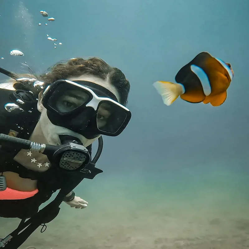 Scuba diver face to face with a clownfish at Cham Islands — diving with Tiger Fish Divers Hoi An — Cu Lao Cham marine reserve