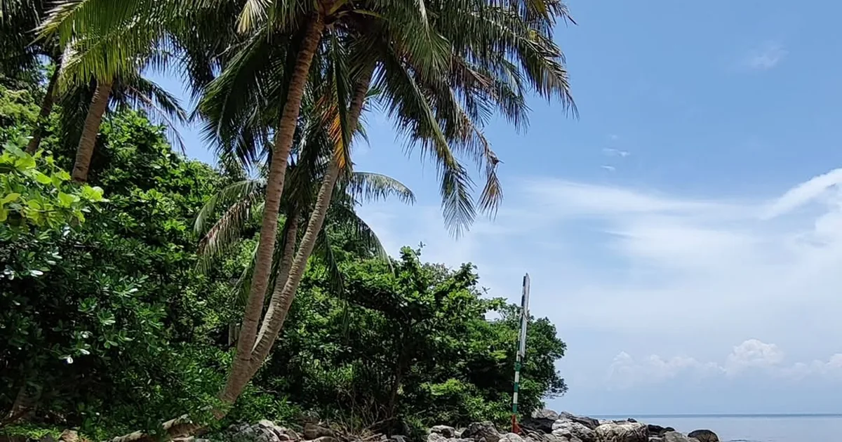 Cham Islands beach with turquoise water, palm tree and speedboats — Cu Lao Cham UNESCO Biosphere Reserve — Hoi An day trip