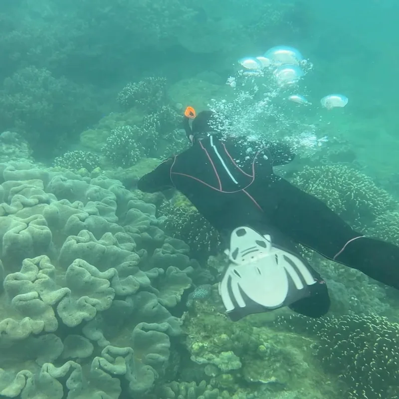 Snorkeler freediving over coral reef at Cham Islands — UNESCO Biosphere Reserve marine environment — Cu Lao Cham Vietnam