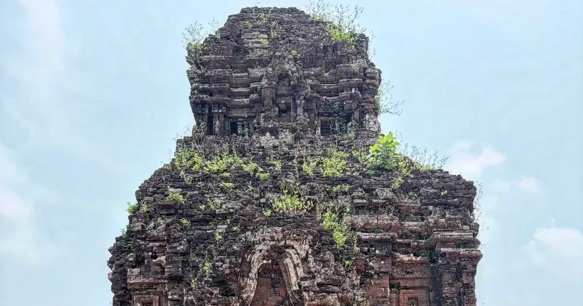 Visitor at My Son Sanctuary Cham tower — UNESCO World Heritage site near Hoi An — morning visit before tour groups arrive