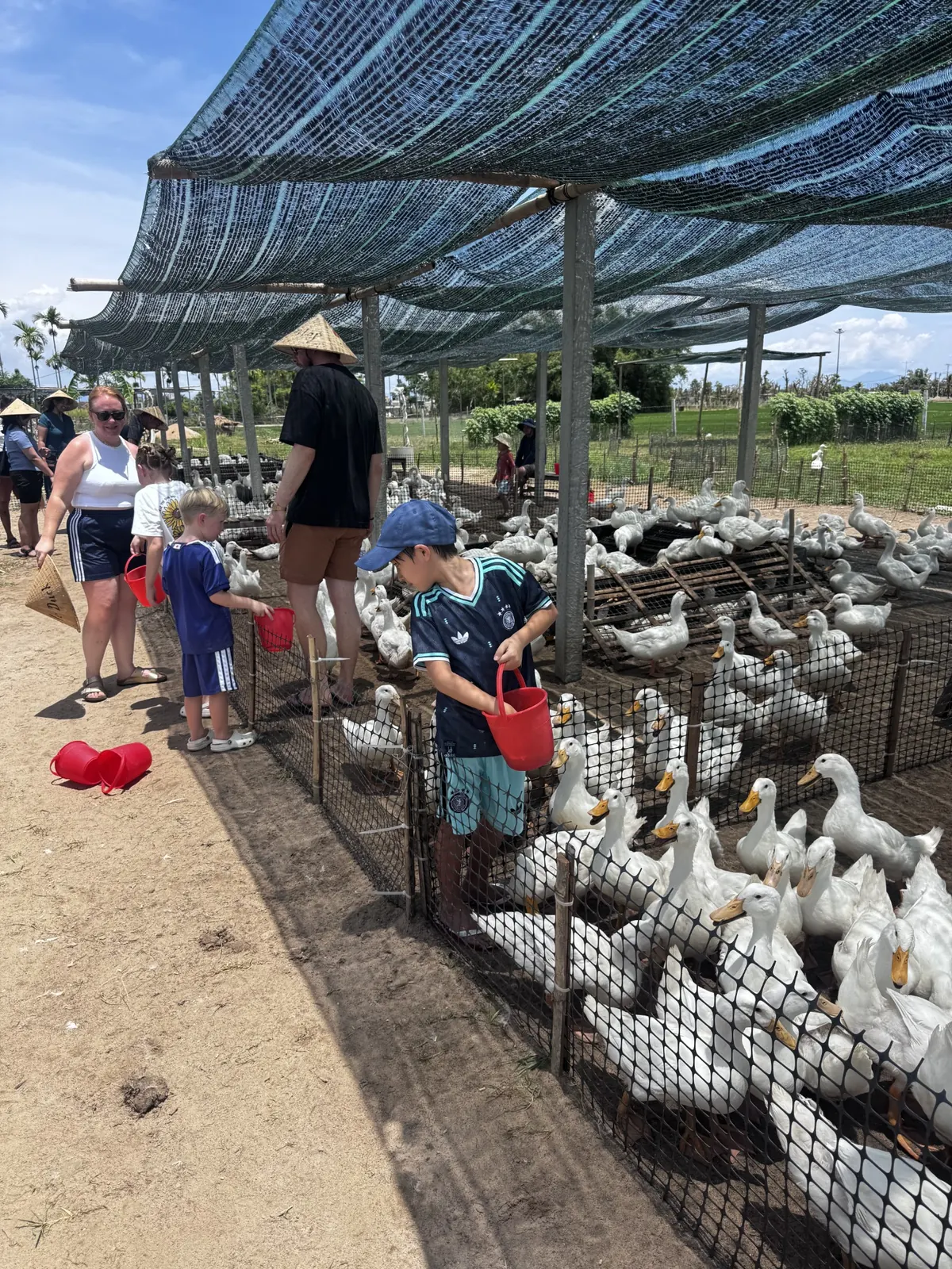 Family enjoying a duck feeding experience in the Hoi An countryside